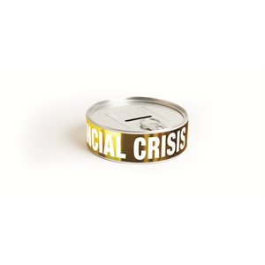 Financial Crisis Survival Kit
