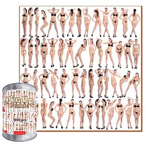 Tin Can Pin-up Puzzle