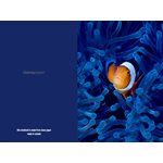 Eclectic Collection Notebook-Fish