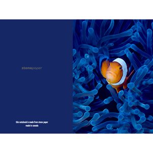 Eclectic Collection Notebook-Fish