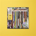 Casse-tête Broken Records-Hip Hop