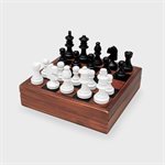 Mini-échecs de fin de partie