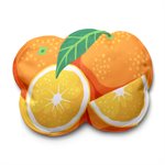 Blocs congélation Icepadz - Fruits