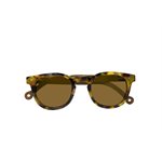 Cala Sunglasses-Gentle Tortoise