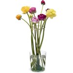 Invisivase